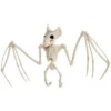 Bats Bat Skeleton