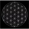 Flower Of Life Velvet Mat