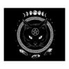 Cats Peach Skin Tapestry - Black Cat With Pentagram