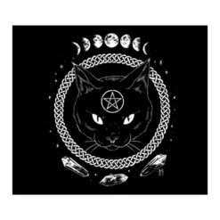 Cats Peach Skin Tapestry - Black Cat With Pentagram