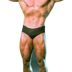 LifeSizeCutouts Arnold Schwarzenegger